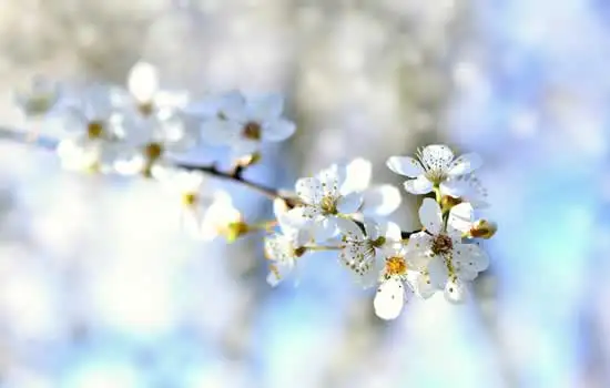 Addobbo floreale per lapide e tomba